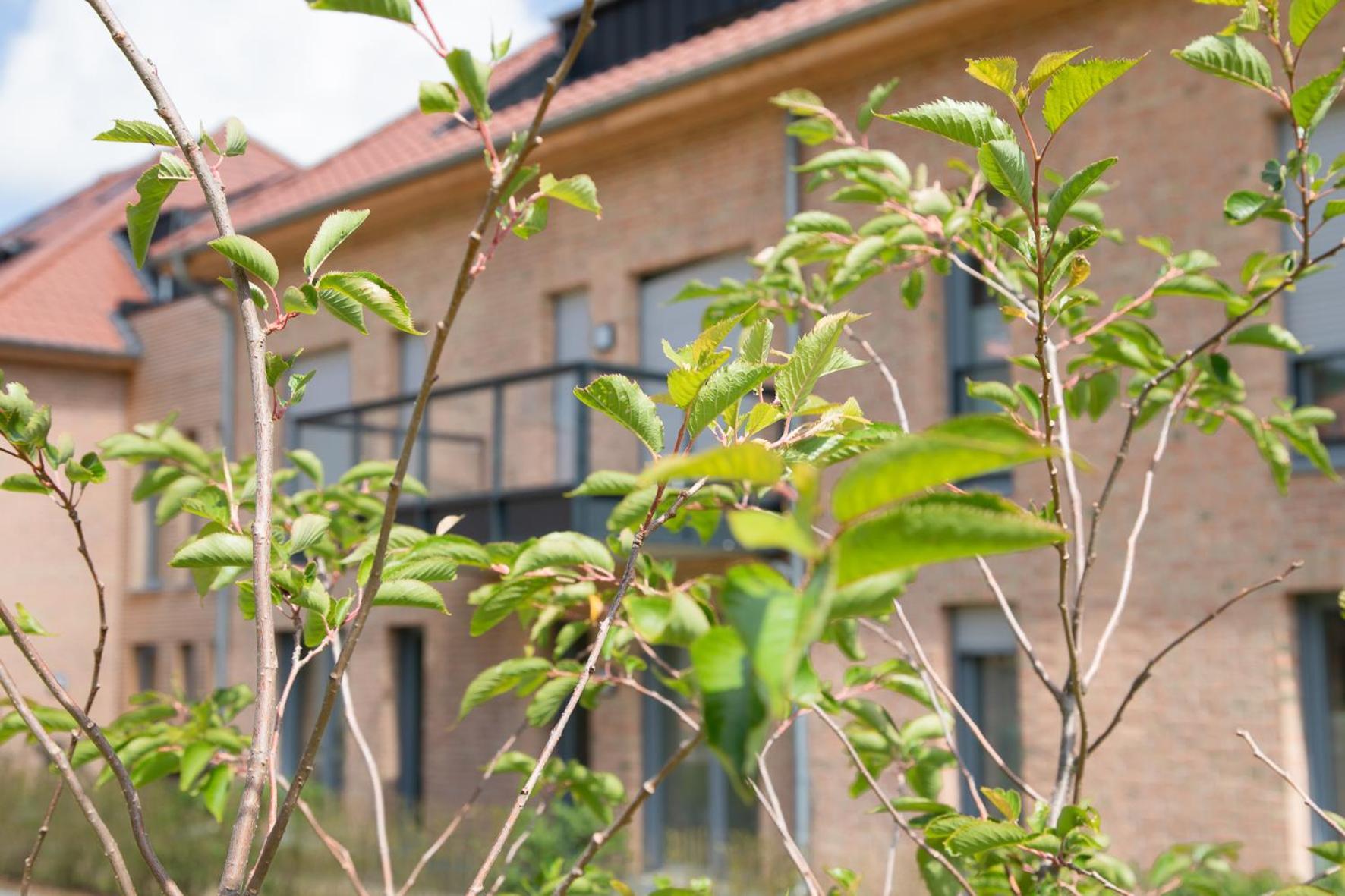 Wohnen Am Suedstrand - Ferienwohnung 1 1 Wyk auf Fohr Bagian luar foto