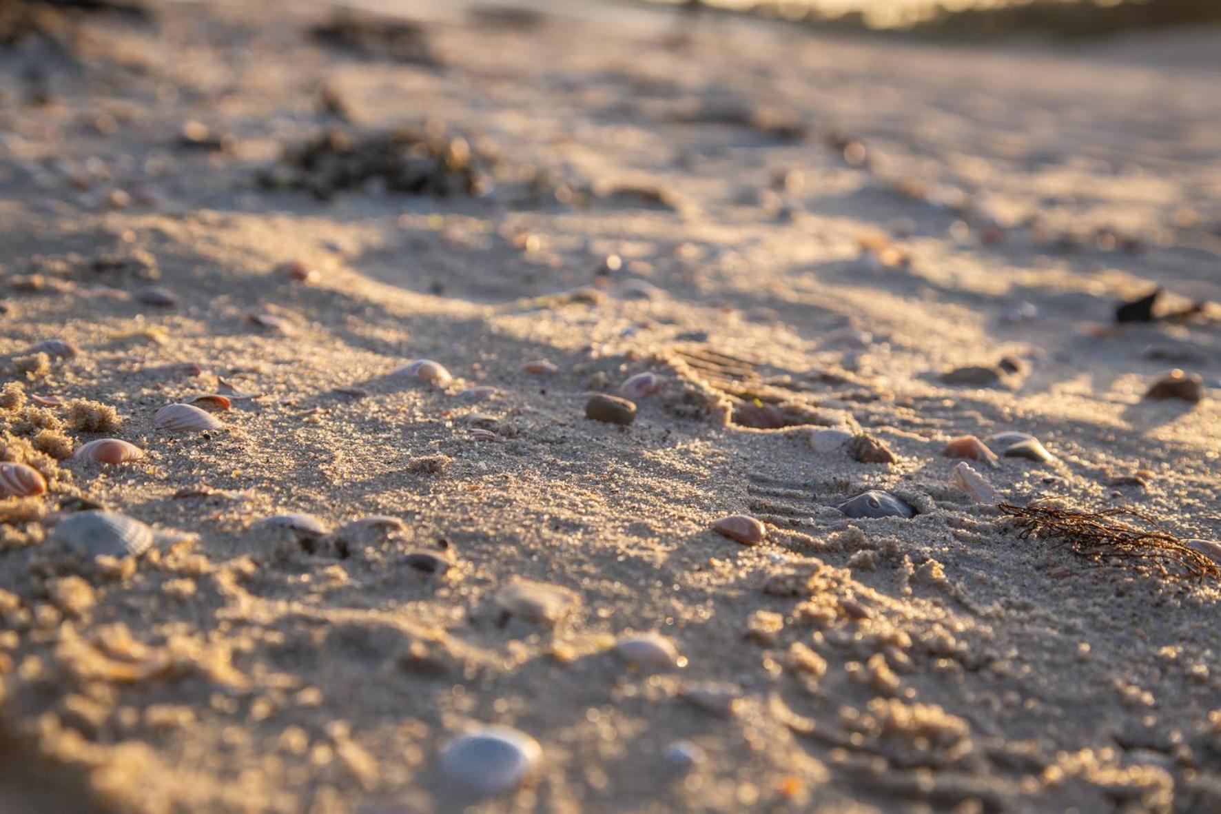 Wohnen Am Suedstrand - Ferienwohnung 1 1 Wyk auf Fohr Bagian luar foto